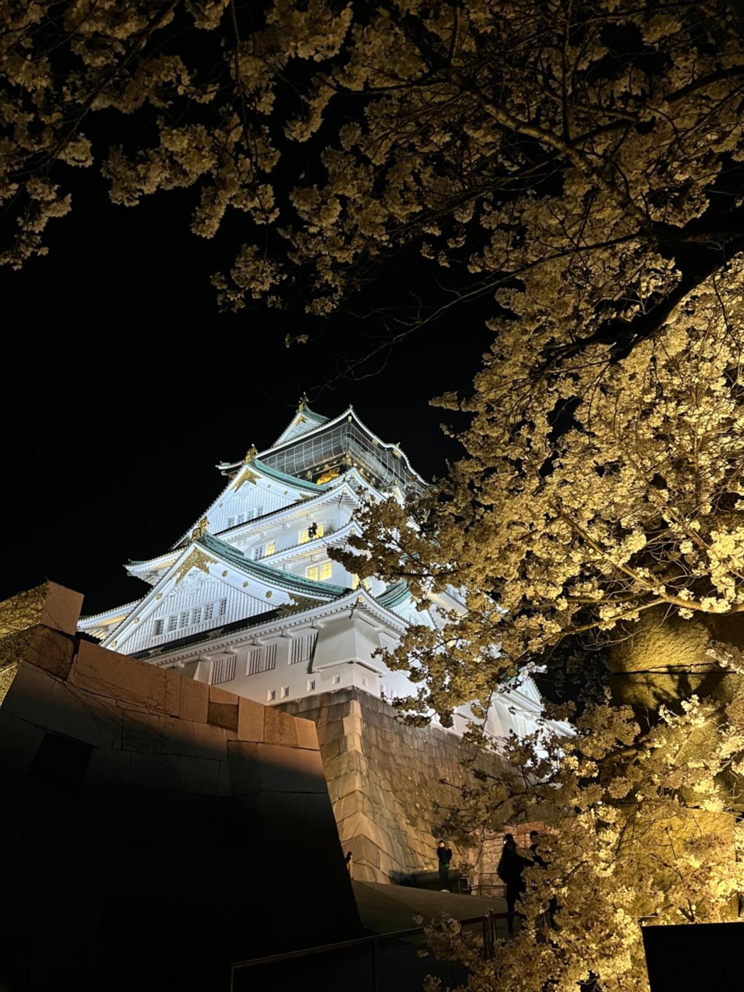 Guesthouse Atelier Ten 民泊アトリエ天 Осака Екстер'єр фото